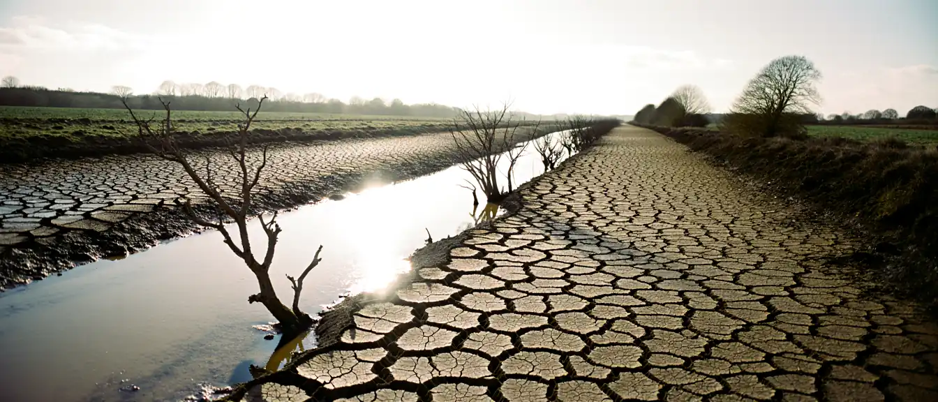 Реки Британии на грани иссушения: критическое падение уровня воды в Англии