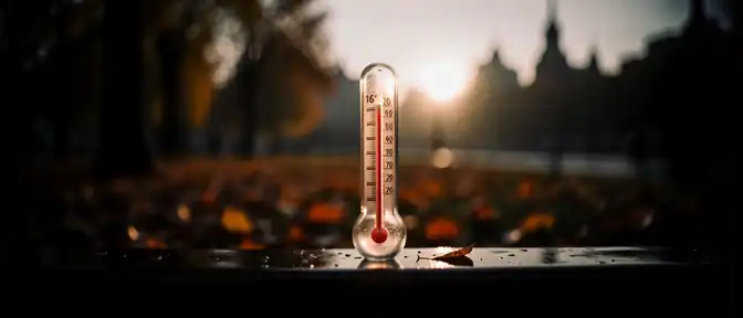 Рекордное тепло в столице: Москва пережила одну из самых жарких ночей за всю историю наблюдений