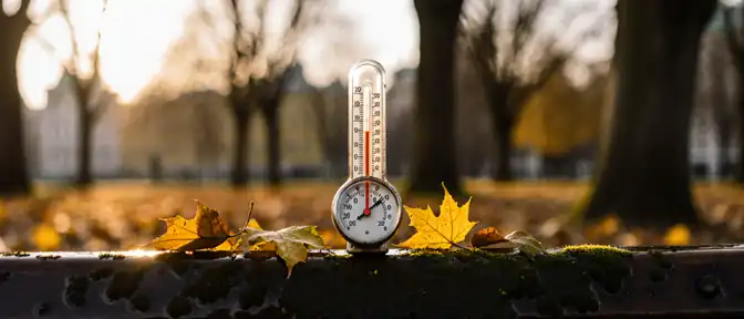 Столичная осень медленно, но верно теряет свой холод