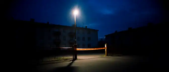 Территория дома №3 на улице Высотной в Подольске стала зоной карантина из-за угрозы бешенства
